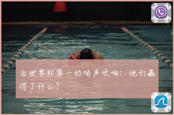 当世界杯第一的哨声吹响：他们赢得了什么？