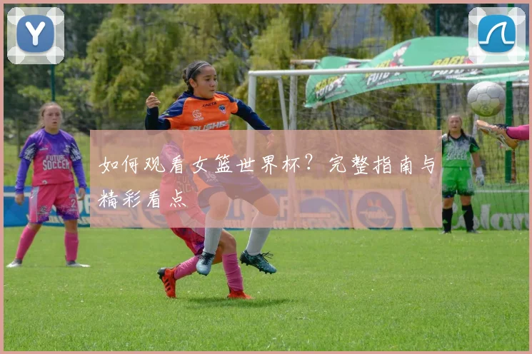如何观看女篮世界杯？完整指南与精彩看点