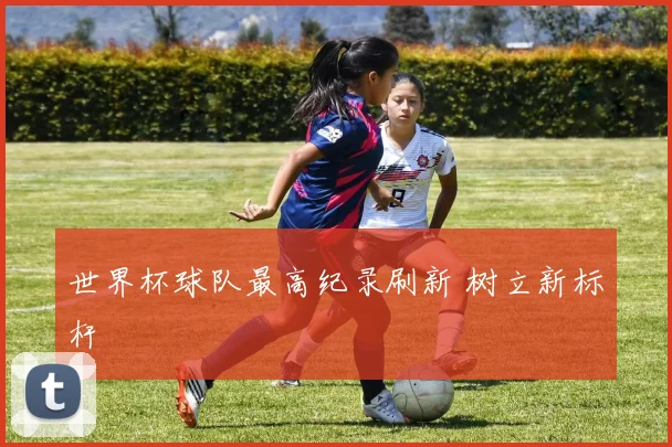 世界杯球队最高纪录刷新 树立新标杆