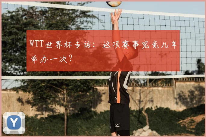 WTT世界杯专访:这项赛事究竟几年举办一次?